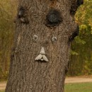 old man tree photoshop contest